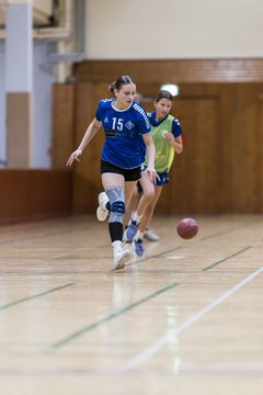 Bild 209 - wBJ TSV Ellerau - HSG Stoertal Hummeln : Ergebnis: 26:19